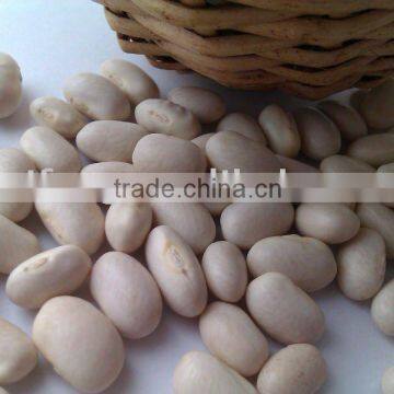 Japanese white kidney bean 2011 crop, Heilongjiang origin, Hps)