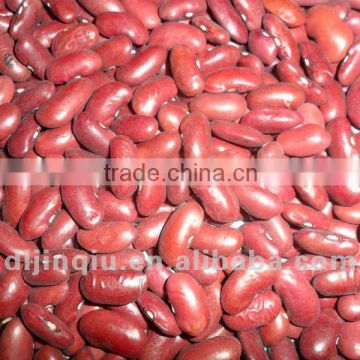 dark red kidney bean 2012 crop