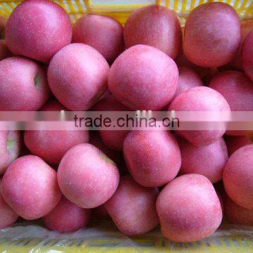 2014 China Yantai Fresh Red Fuji Apple