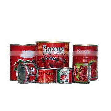 Tomato Paste brands