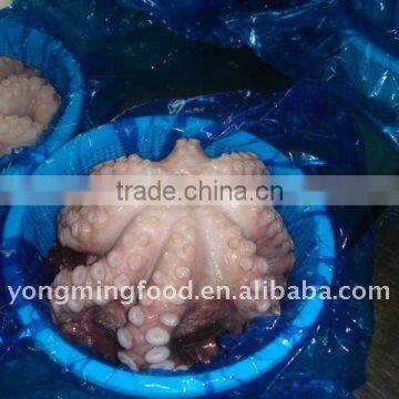 Frozen octopus IQF vulgaris