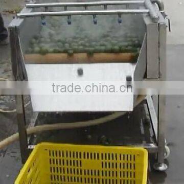 Hp-360 Vegetable And Fruit Brush Washing Washer And Drying Dryer Machine photo-5