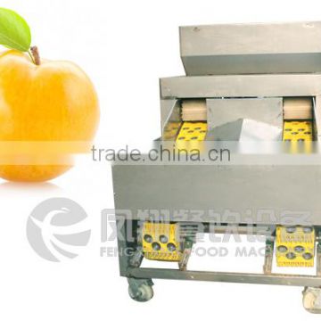 High Quality Plum Stoner, Plum Pitter, Plum Corer with CE certificated