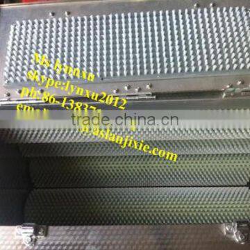 Fish Scaling Machine /Automatic Fish Scale Removing Machine