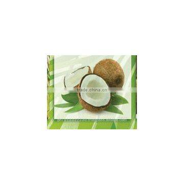 CULINARY VIRGIN COCONUT OIL - Non-RBD, 100% Natural & Zero Cholesterol photo-3