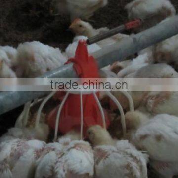 Poultry Automatic Feeding System/Automatic Poultry Feeding And Drinking System photo-4