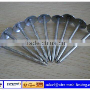 Roofing Nail With Umbrella Head (Factory)