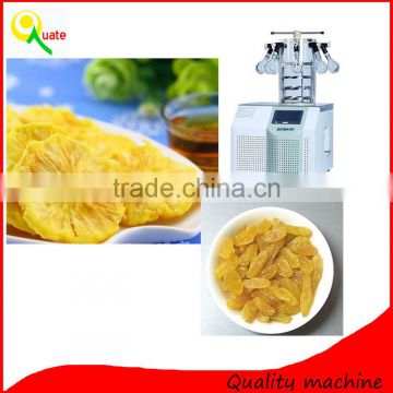 Latest Technology Fruit Vacuum Freeze Drying Machine For Laboratory