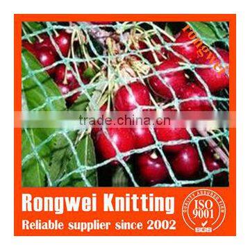 plastic bird capture net