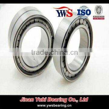 Double Row Full Complement Cylindrical Roller Bearing SL 185009 photo-3