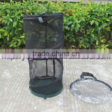 small hole mesh butterfly bird cage