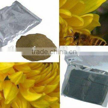China High Quality Dates Pollen Powder photo-2