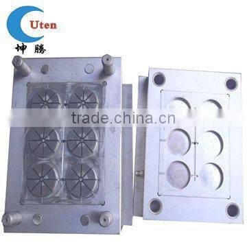 6 cavities Custom Plastic Injection Mould