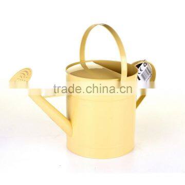 Metal Galvanised Steel Watering Can 9 Litre Garden Water Plants Green Cream Galvinised (Silver) photo-6