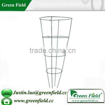 Growing Tomatoes Plant Cages