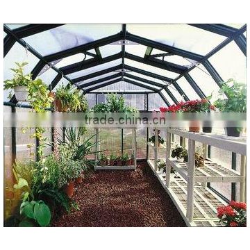 Small sunlight greenhouse flowers for sale