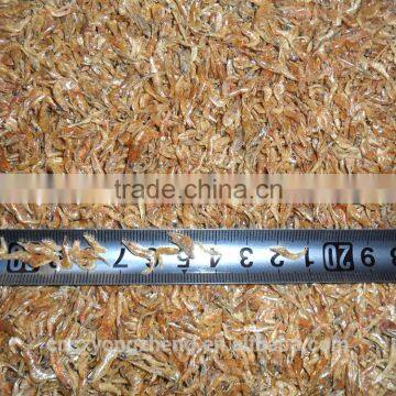 1-2cm Dried Shrimps For Fish Meal