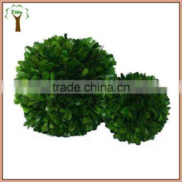 Decorative Table Preserved Boxwood Ball photo-2