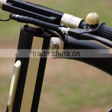 2016 Best Quality Factory Direct Sale Cheap 36V 350W Electric Bike Kit for Teenagers and Adults photo-6