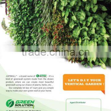 DIY Vertical Garden photo-4