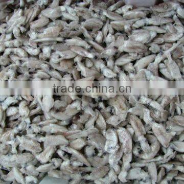 seafood iqf baby squid
