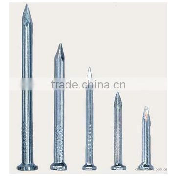 Bright Shining Concrete Nails galvanized