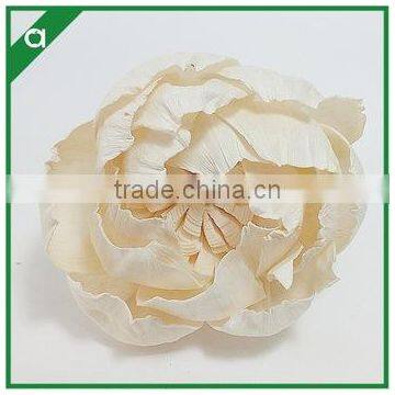 Dried Sola Flower From China Supplier photo-4