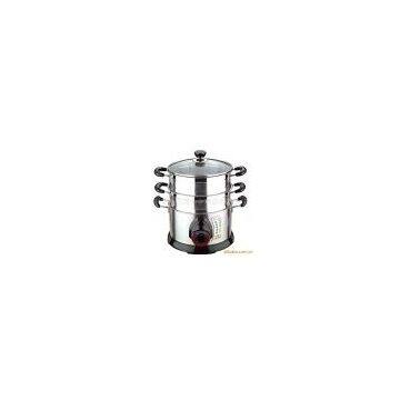 electric steamer