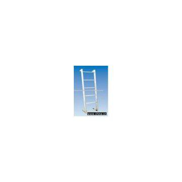 Stainless Steel Vertical Ladder