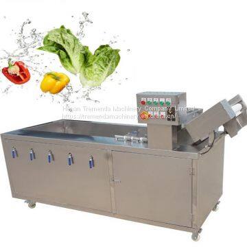 vegetable washing machine