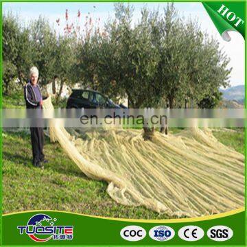 agriculture olive harvest nets to collection fruit