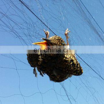 Bird nets for catching birds/bird mist net/Bird Capture Net