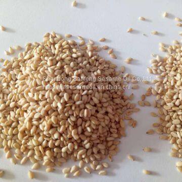 1kg Bag Packing Roasted White Sesame Seeds photo-3