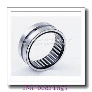 INA Bearing