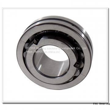 FAG 576376 FAG Bearing