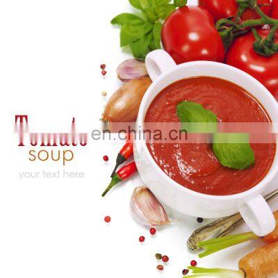 Tomato paste plant/ tomato paste processing plant