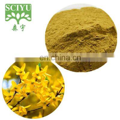 100% Natural Forsythia Fructus Extract Weeping Forsythia Extract