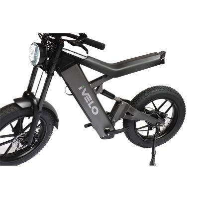 IVelo Cheap Price 48V 13AH Battery Shimano 6 Speed E Bike 1000W Fat Tire Electric Bike Bicycle for Adults photo-2