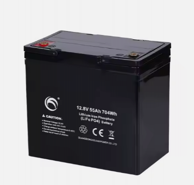 Lifepo4 Lithium Iron Phosphate 12.8V 55AH Rechargeable Batteries
