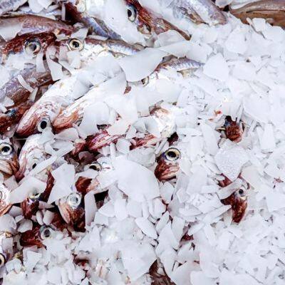 Linsky 10Ton Industrial Ice Flake Machine