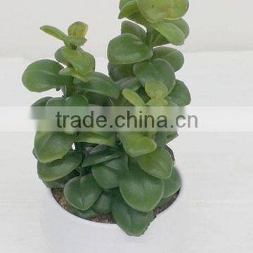 Best selling high simulation indoor garden decoration mini succulent plants