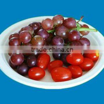 Christmas Kitchen Dinner Disposable biodegradable Plates Material Sugarcane Pulp
