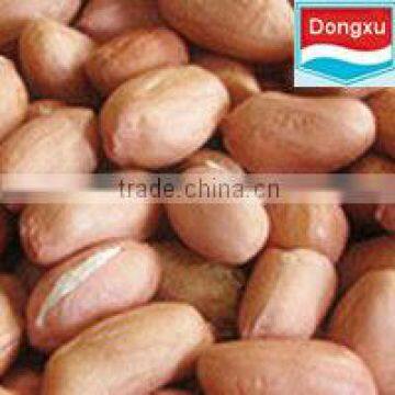 fair trade peanut kernels 50 /60