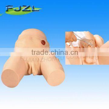 medical nursing training Advanced Male Catheterization Simulator