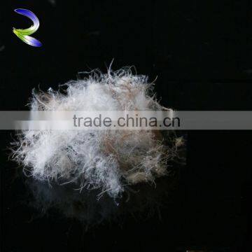 Wholesales high quality down feathers wholesale gray duck feather                        
                                                                                Supplier's Choice