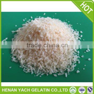 Hot selling fish scale gelatin with low price