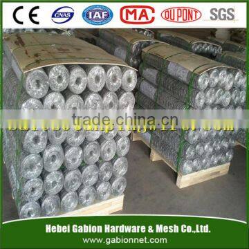 chicken galvanized hexagonal wire mesh With Low price