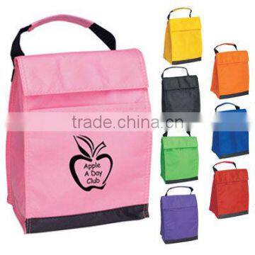 Portable Non woven cooler bag(BSCI and social audit factory)