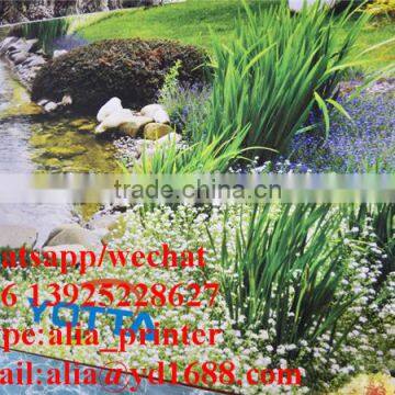 120sqm/h!!! Large Size Eco Solvent Roll to Roll Pvc Printer Flexble Hybrid Printer With 8 Heads photo-4