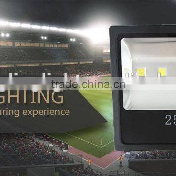 Aluminum Die Casting new 250w led flood light